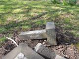 image of grave number 768495